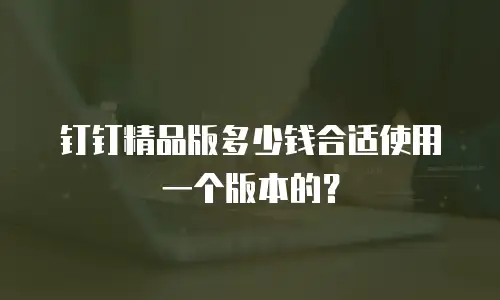 钉钉精品版多少钱合适使用一个版本的？