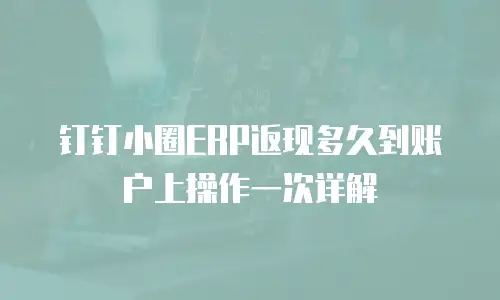 钉钉小圈ERP返现多久到账户上操作一次详解