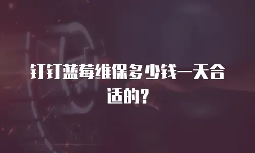 钉钉蓝莓维保多少钱一天合适的？