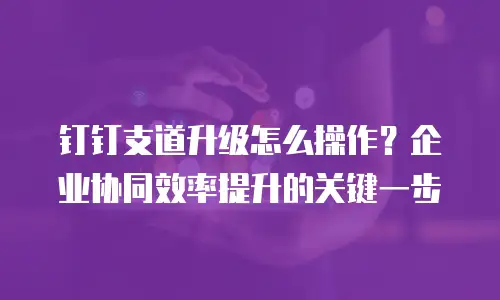 钉钉支道升级怎么操作？企业协同效率提升的关键一步