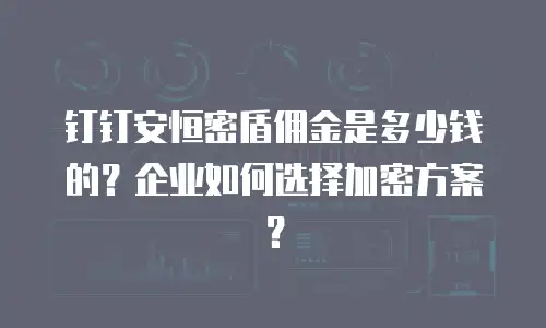 钉钉安恒密盾佣金是多少钱的？企业如何选择加密方案？
