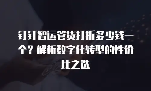 钉钉智运管货打折多少钱一个？解析数字化转型的性价比之选