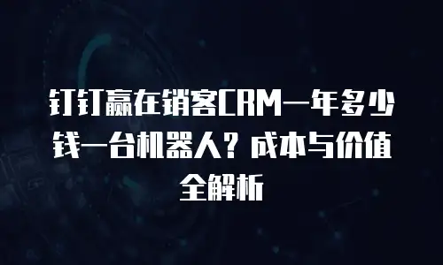 钉钉赢在销客CRM一年多少钱一台机器人？成本与价值全解析