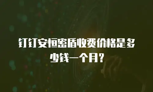 钉钉安恒密盾收费价格是多少钱一个月？