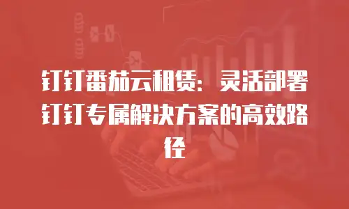 钉钉番茄云租赁：灵活部署钉钉专属解决方案的高效路径