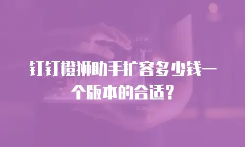 钉钉橙狮助手扩容多少钱一个版本的合适？