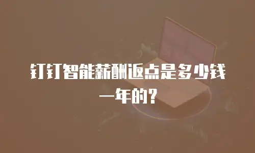 钉钉智能薪酬返点是多少钱一年的？