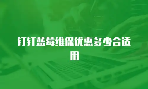 钉钉蓝莓维保优惠多少合适用