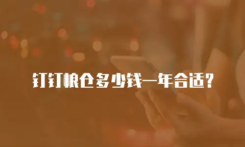 钉钉粮仓多少钱一年合适？