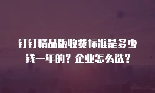 钉钉精品版收费标准是多少钱一年的？企业怎么选？