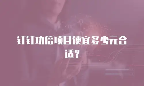 钉钉功倍项目便宜多少元合适？