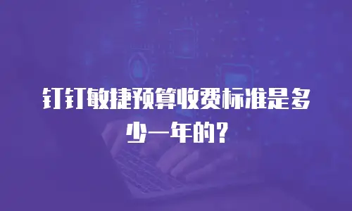 钉钉敏捷预算收费标准是多少一年的？
