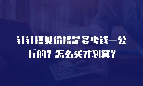 钉钉搭贝价格是多少钱一公斤的？怎么买才划算？