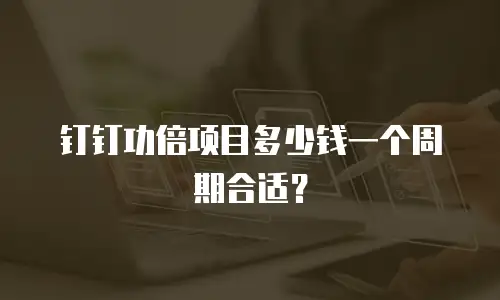 钉钉功倍项目多少钱一个周期合适？
