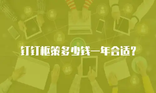 钉钉枢策多少钱一年合适？