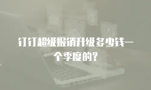 钉钉超级报销升级多少钱一个季度的？