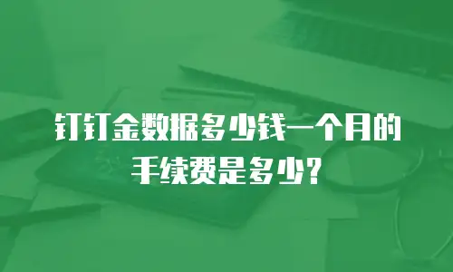 钉钉金数据多少钱一个月的手续费是多少？