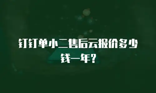 钉钉单小二售后云报价多少钱一年？