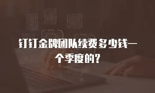钉钉金牌团队续费多少钱一个季度的？