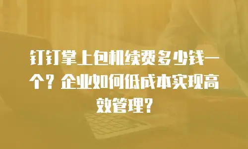 钉钉掌上包机续费多少钱一个？企业如何低成本实现高效管理？