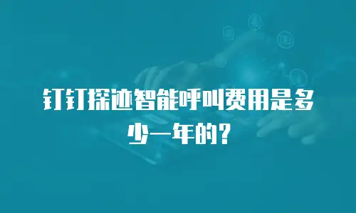 钉钉探迹智能呼叫费用是多少一年的？