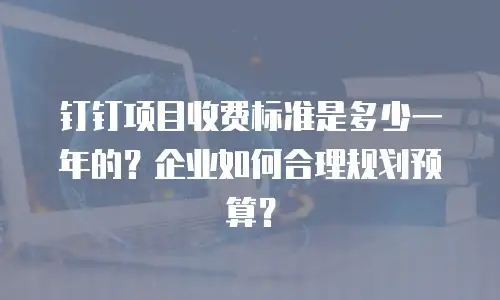 钉钉项目收费标准是多少一年的？企业如何合理规划预算？