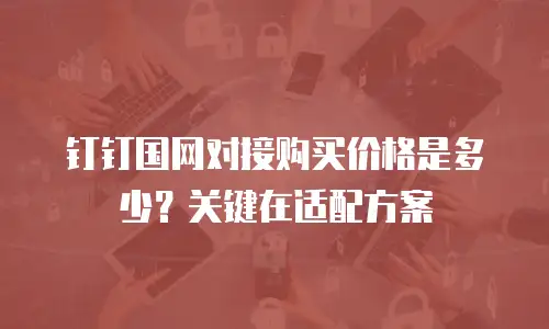 钉钉国网对接购买价格是多少？关键在适配方案