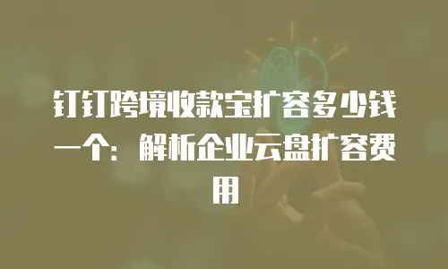 钉钉跨境收款宝扩容多少钱一个：解析企业云盘扩容费用