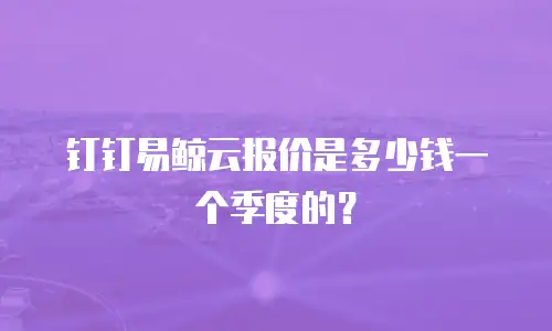 钉钉易鲸云报价是多少钱一个季度的？