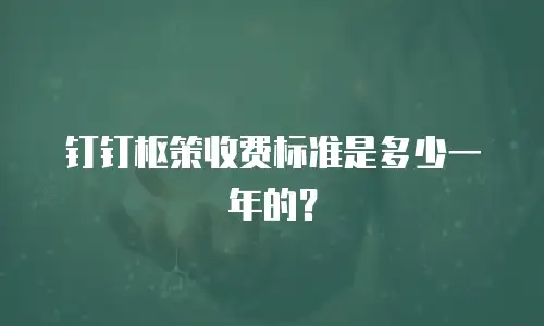 钉钉枢策收费标准是多少一年的？
