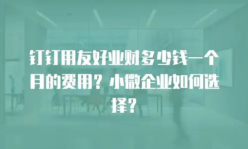 钉钉用友好业财多少钱一个月的费用？小微企业如何选择？