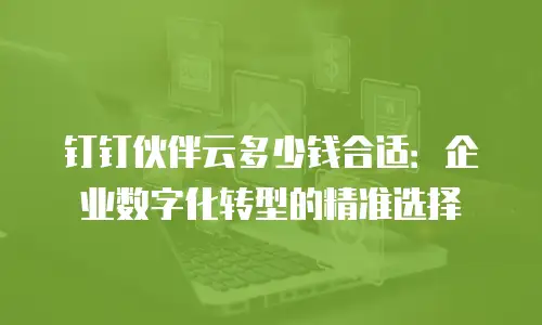 钉钉伙伴云多少钱合适：企业数字化转型的精准选择