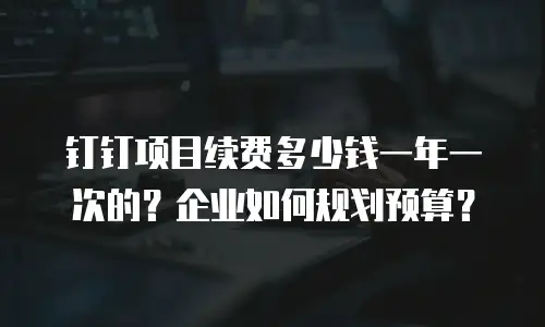 钉钉项目续费多少钱一年一次的？企业如何规划预算？