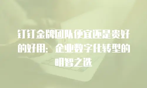 钉钉金牌团队便宜还是贵好的好用：企业数字化转型的明智之选