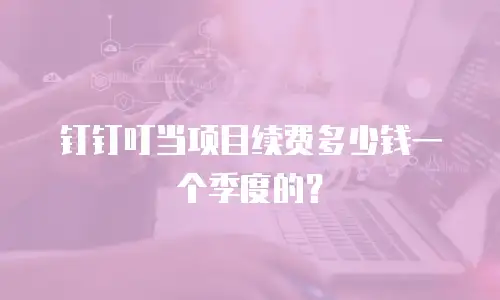 钉钉叮当项目续费多少钱一个季度的？