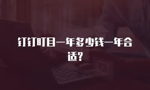 钉钉盯目一年多少钱一年合适？