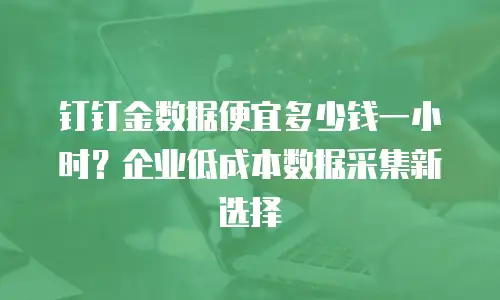 钉钉金数据便宜多少钱一小时？企业低成本数据采集新选择