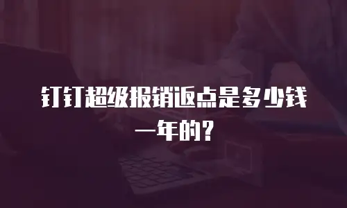 钉钉超级报销返点是多少钱一年的？