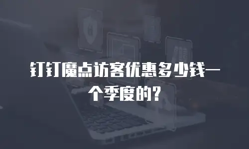 钉钉魔点访客优惠多少钱一个季度的？