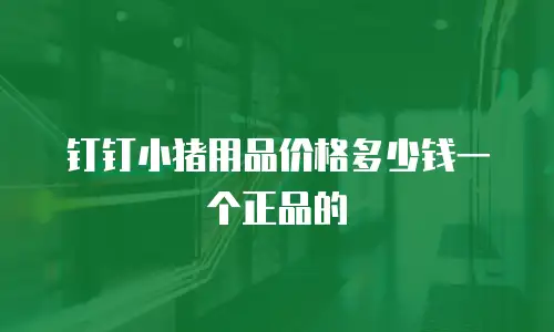 钉钉小猪用品价格多少钱一个正品的