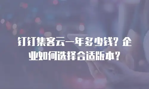 钉钉集客云一年多少钱？企业如何选择合适版本？