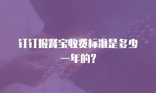 钉钉报餐宝收费标准是多少一年的？