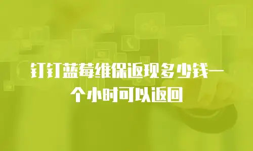 钉钉蓝莓维保返现多少钱一个小时可以返回