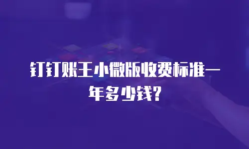 钉钉账王小微版收费标准一年多少钱？