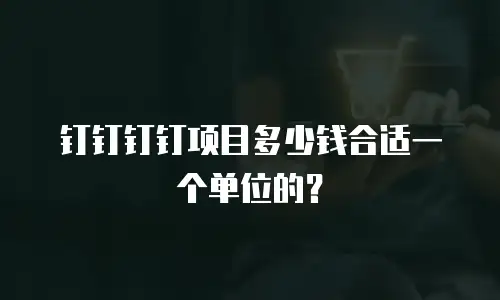 钉钉钉钉项目多少钱合适一个单位的？