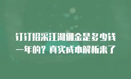 钉钉招采江湖佣金是多少钱一年的？真实成本解析来了