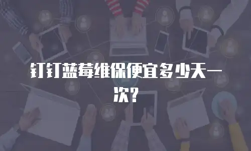 钉钉蓝莓维保便宜多少天一次？