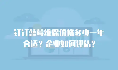 钉钉蓝莓维保价格多少一年合适？企业如何评估？