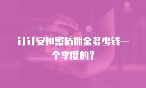 钉钉安恒密盾佣金多少钱一个季度的？