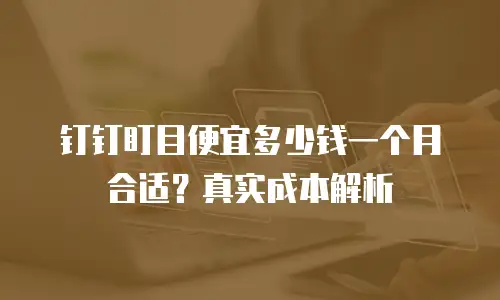 钉钉盯目便宜多少钱一个月合适？真实成本解析
